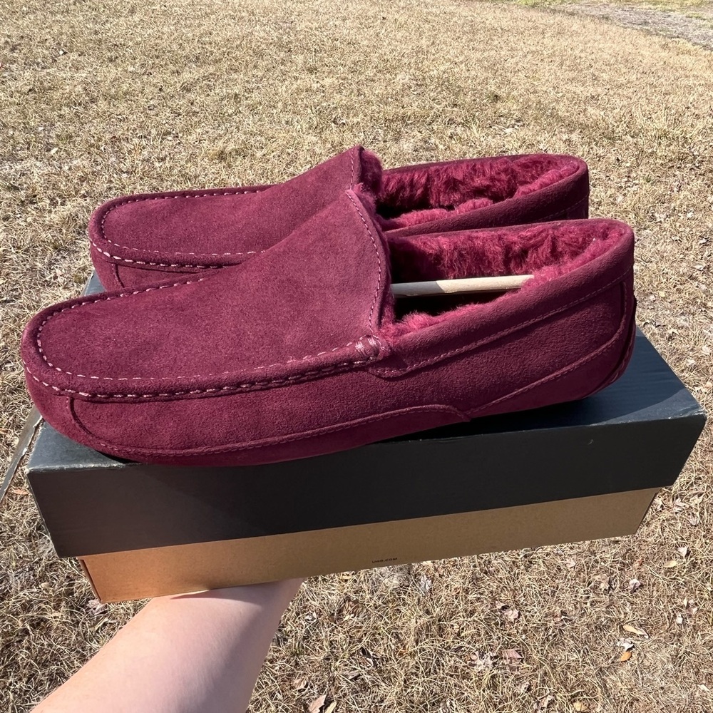 NWOT UGG Mens Ascot Slipper in Wild Grape Size 12